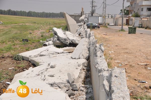 wallludshaneer509 (3).JPG